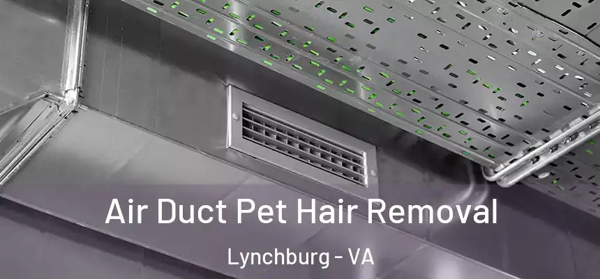 Air Duct Pet Hair Removal Lynchburg - VA