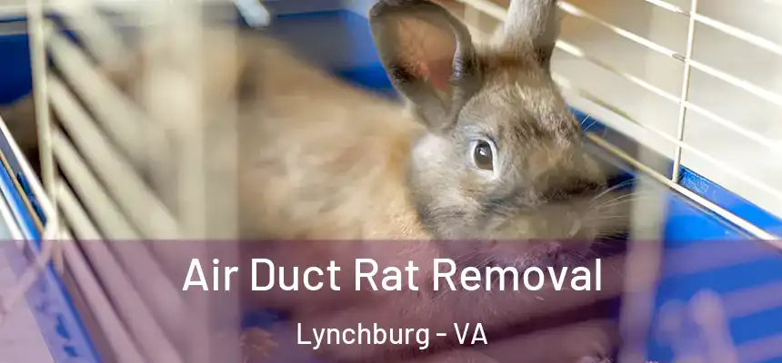 Air Duct Rat Removal Lynchburg - VA
