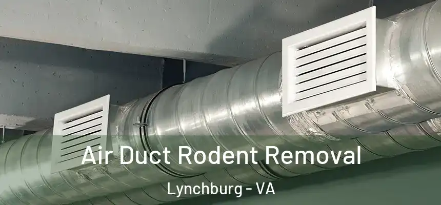  Air Duct Rodent Removal Lynchburg - VA