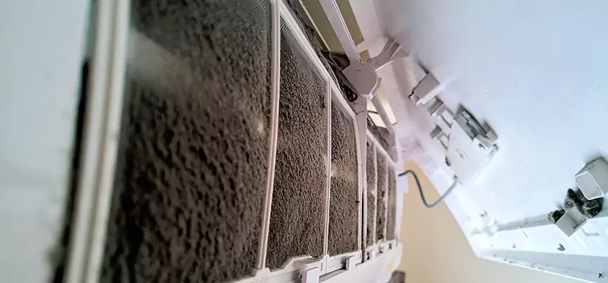 Preventive Air Duct Bacteria Removal in Lynchburg