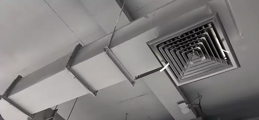 Our Pest Removal From Ducts Services in Lynchburg, VA