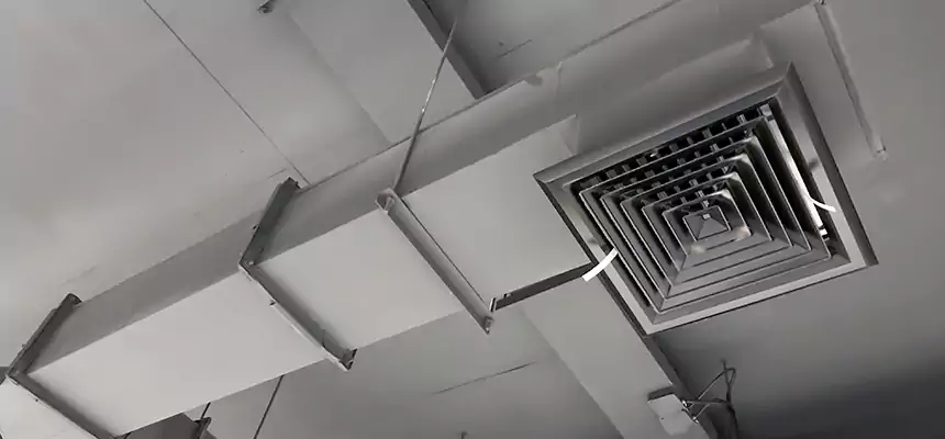 Our Rodent Droppings In Vents Services in Lynchburg, VA