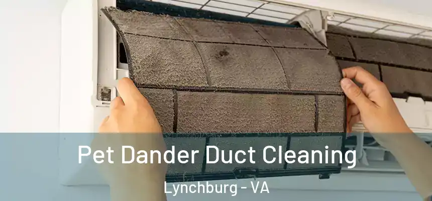  Pet Dander Duct Cleaning Lynchburg - VA