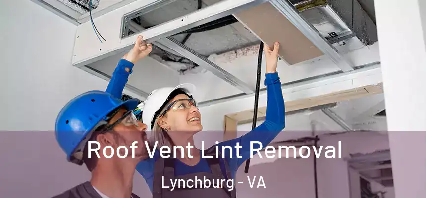  Roof Vent Lint Removal Lynchburg - VA