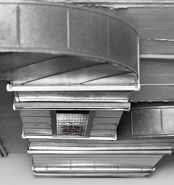 Professional Air Duct Pest Removal in Lynchburg, VA