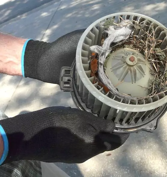 About Air Duct Rat Removal in Lynchburg, VA