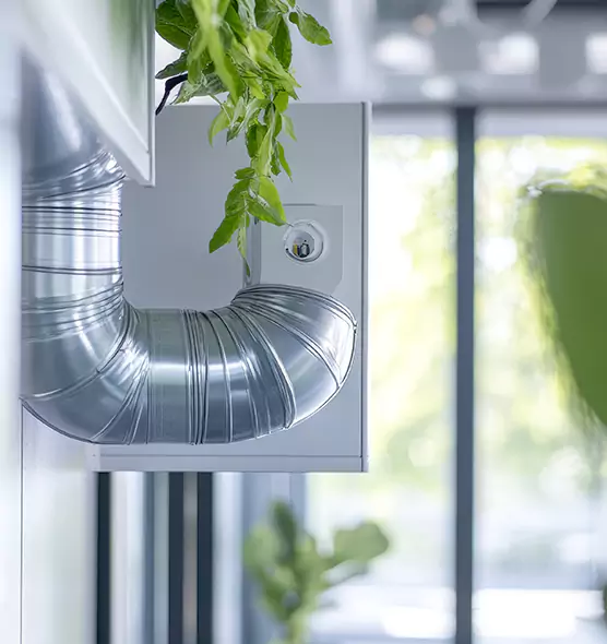 Professional Eco-Safe Dryer Vent Cleaning in Lynchburg, VA