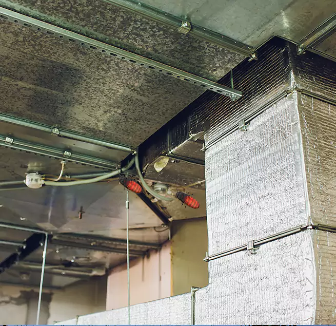 Why Homeowners & Businesses Trust Us in Lynchburg, VA?