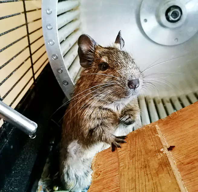 Why Homeowners & Businesses Trust Us Lynchburg, VA