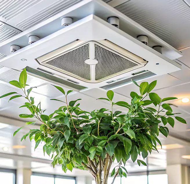 Why Homeowners & Businesses Trust Us in Lynchburg, VA?